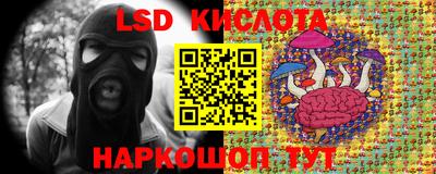 PSILOCYBIN Кунгур