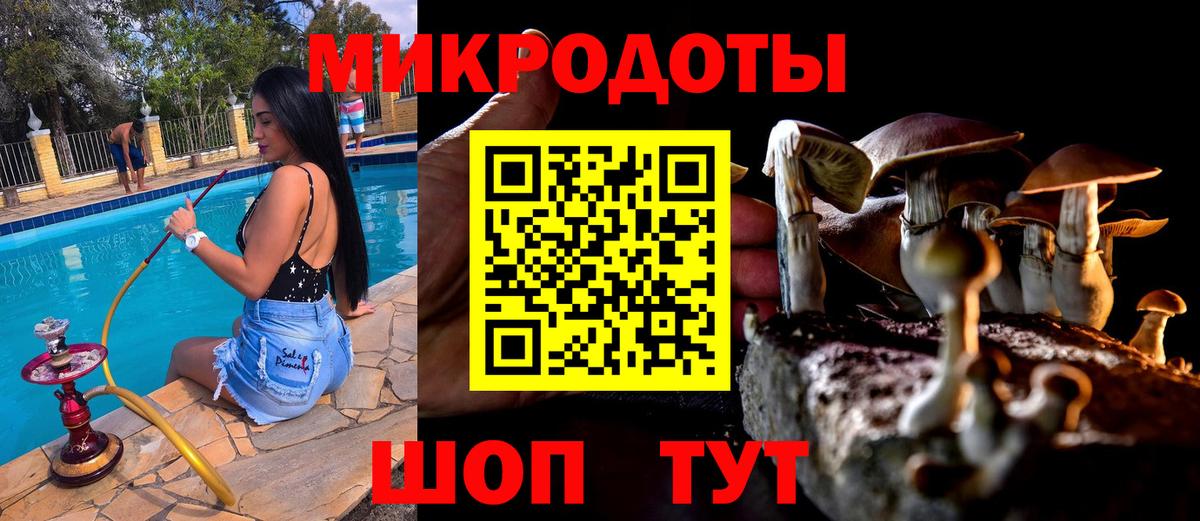Псилоцибиновые грибы ЛСД  Вход с VPN  купить наркоту  Иваново  Галлюциногенные грибы ЛСД 