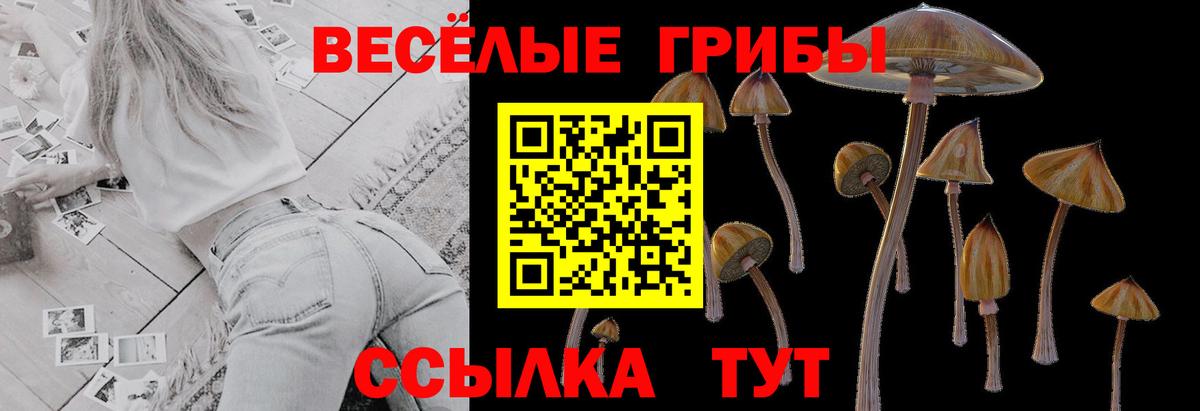 Галлюциногенные грибы Psilocybine cubensis Иваново